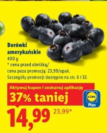 Borówki amerykańskie