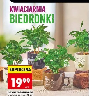 Kawa w ceramice