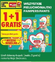 Wszystkie pieluchomajtki Pampers Pants