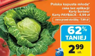 Polska kapusta młoda*