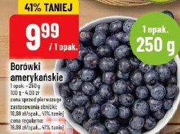 Borówki amerykańskie