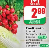 Rzodkiewka