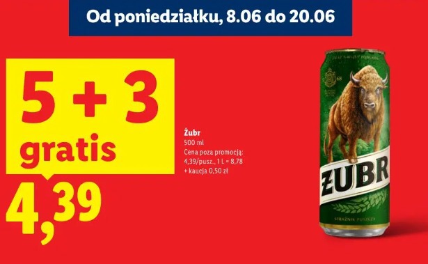 Żubr