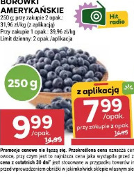 Borówki amerykańskie