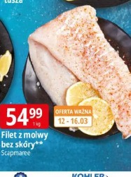 Filet z molwy bez skóry Scapmaree