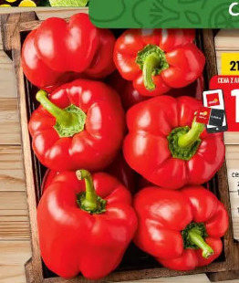 Papryka czerwona