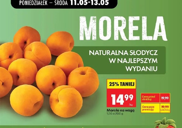 Morela