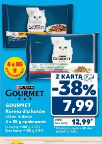 Gourmet Karma dla kotów różne rodzaje
