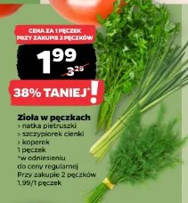 Zioła w pęczkach natka pietruszki, szczypiorek cienki, koperek