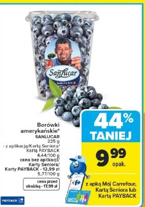 Borówki amerykańskie Sanlucar