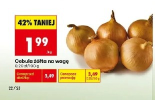 Cebula żółta na wagę