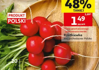 Rzodkiewka