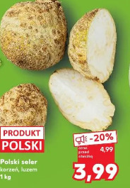 Polski seler korzeń