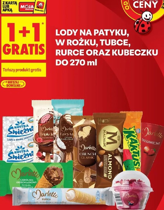 Lody na patyku, w rożku, tubce, rurce oraz kubeczku do 270 ml