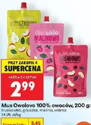 Mus Owolovo 100% owoców