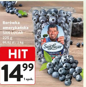 Borówka amerykańska SAN LUCAR