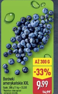 Borówki amerykańskie XXL