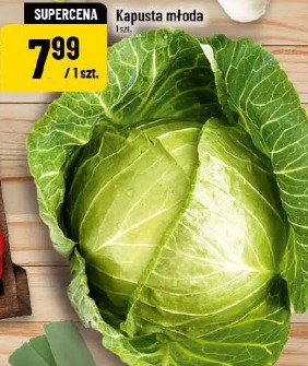 Kapusta młoda