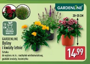 Gardenline Byliny i kwiaty letnie