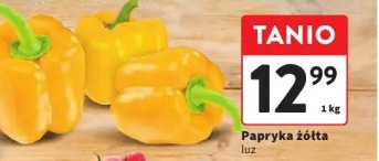 Papryka żółta