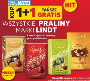 Wszystkie praliny marki Lindt 1+1