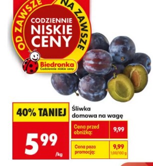 Śliwka domowa