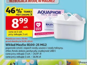 Wkład Maxfor B100-25 MG2