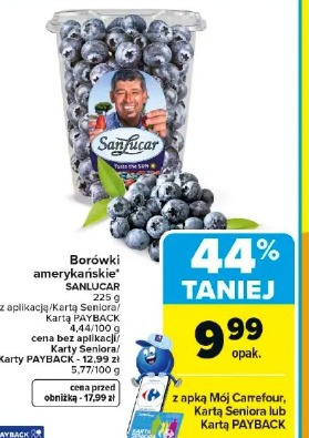 Borówki amerykańskie Sanlucar