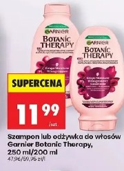 Szampon lub odżywka do włosów Garnier Botanic Therapy