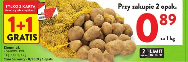 Ziemniak Z SADÓW I PÓL