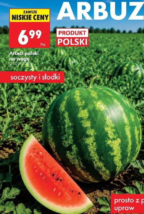 Arbuz polski