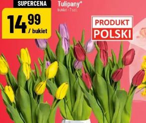 Tulipany