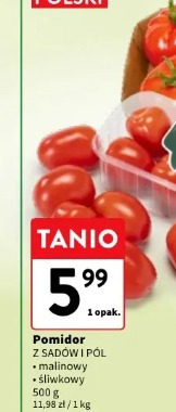 Pomidor z sadów i pól malinowy, śliwkowy