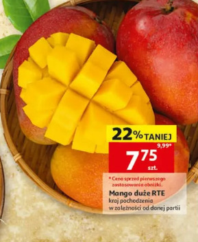 Mango duże RTE