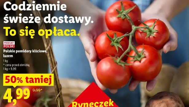 Polskie pomidory kiściowe
