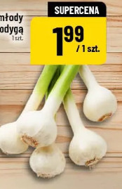 Czosnek młody z łodygą