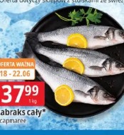 Labraks cały Scapmare