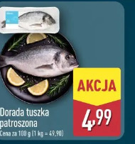 Doradą tuszka patroszona