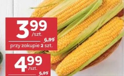 Kukurydza kolba