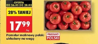 Pomidor malinowy polski układany