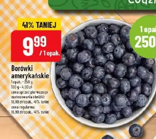 Borówki amerykańskie