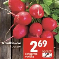 Rzodkiewka