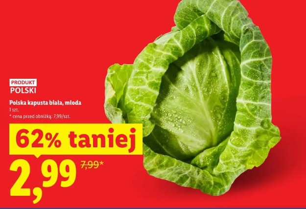 Polska kapusta biała, młoda