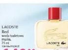 Lacoste Red woda toaletowa męska