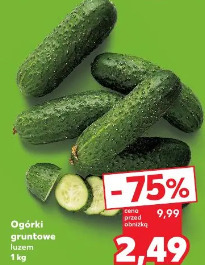 Ogórki gruntowe