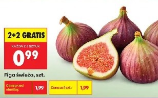 Figa świeża