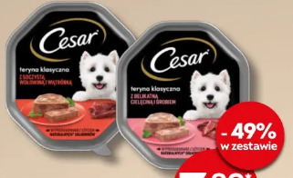 Karma Cesar