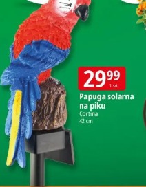 Papuga solarna na piku Cortina