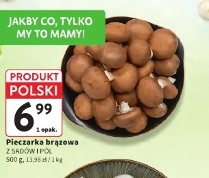 Pieczarka brązowa Z SADÓW I PÓL