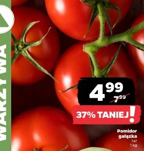 Pomidor gałązka